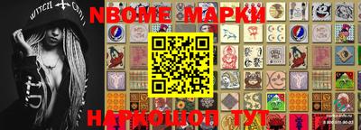 крисы Аргун