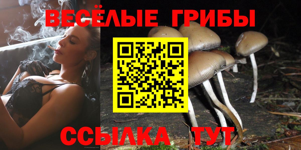 Псилоцибиновые грибы прущие грибы Десногорск