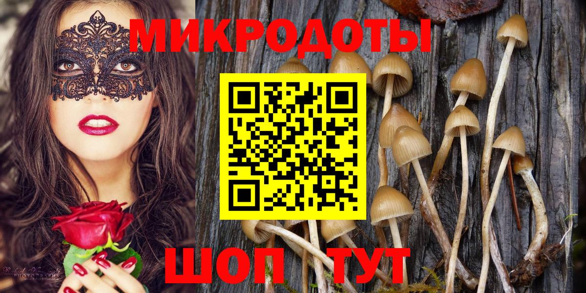 Галлюциногенные грибы Psilocybe  Псилоцибиновые грибы Cubensis  Десногорск  Вход с VPN 