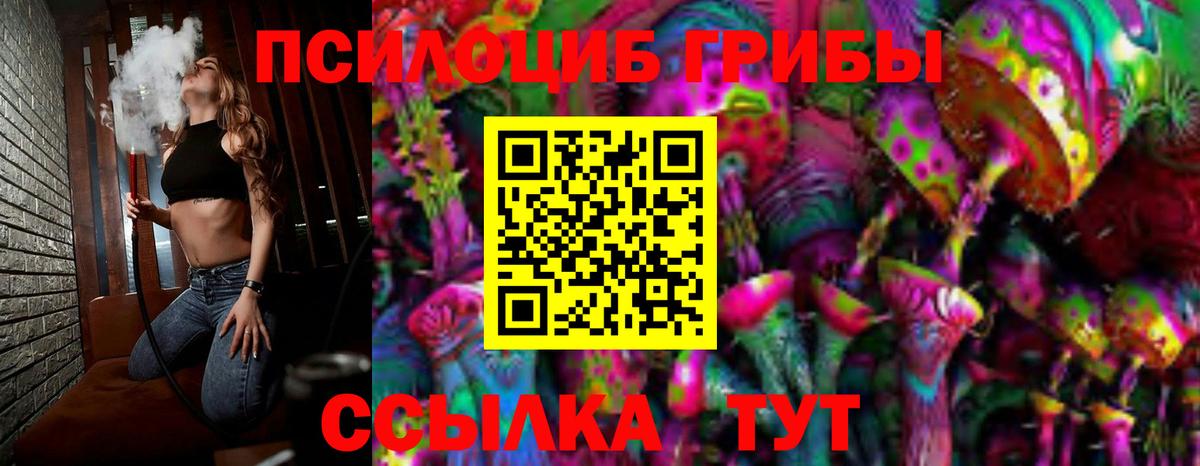 Псилоцибиновые грибы Psilocybine cubensis Десногорск